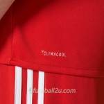 Günstige Fußballtrikots FC Bayern München Robben 10 Heimtrikot 2017/18 Langarm