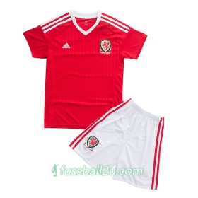 Günstige Fußballtrikots Wales Kinder Heimtrikot Euro 2016