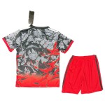 Günstige Fußballtrikots Japan x OnePiece Kinder Sonderausgabe 2025 Kurzarm