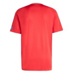 Günstige Fußballtrikots FC Nurnberg 3rd trikot 2025-26 Kurzarm