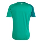 Günstige Fußballtrikots Nordirland Heimtrikot FIFA WM 2026 Kurzarm