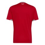 Günstige Fußballtrikots Wales Heimtrikot FIFA WM 2026 Kurzarm